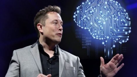 Elon Musk lanza alerta: humanos serán solo un respaldo biológico en un mundo dominado por la IA