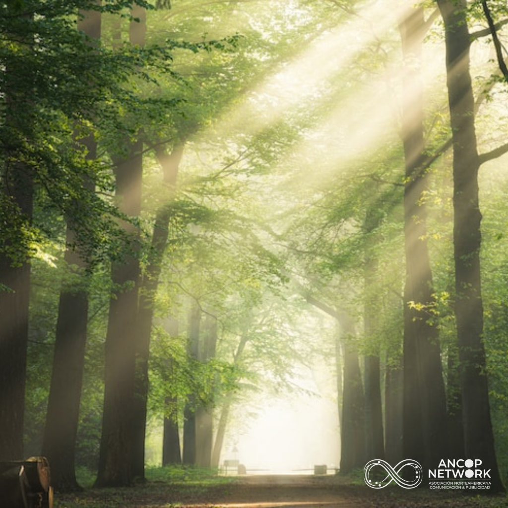 DÍA DEL CONSUMIDOR 2 1