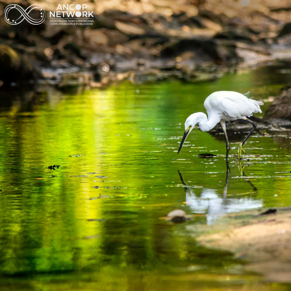 Humedales en Chihuahua