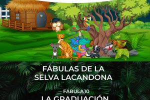 Selva Lacandona 102415