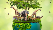 vida silvestre