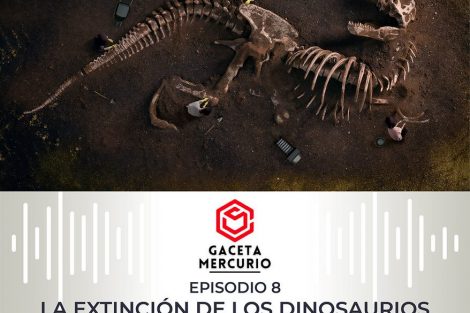 Gaceta Mercurio 10248