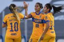 tigres femenil las grandes protagonistas de las finales