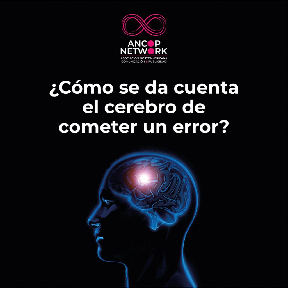¿Cómo se da cuenta el cerebro de cometer un error? 1 ANCOP 08 2