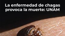 ANCOP 09