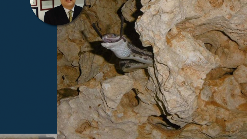 La Cueva de las Serpientes Colgantes de Kantemó columna del día | Universo CdMx