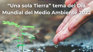 dia del medio ambiente