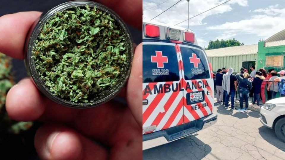 Alumnos de una escuela primaria resultaron intoxicados por cannabis   1 f960x540 115712 189787 15