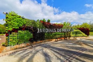 entrada jardines de mexico