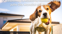 ¡Celebremos a nuestros lomitos 21 de julio Dia Mundial del Perro