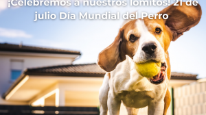 ¡Celebremos a nuestros lomitos 21 de julio Dia Mundial del Perro