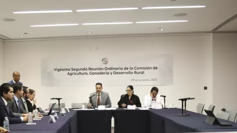 291123 Reunion de la Com de Agricultura 7