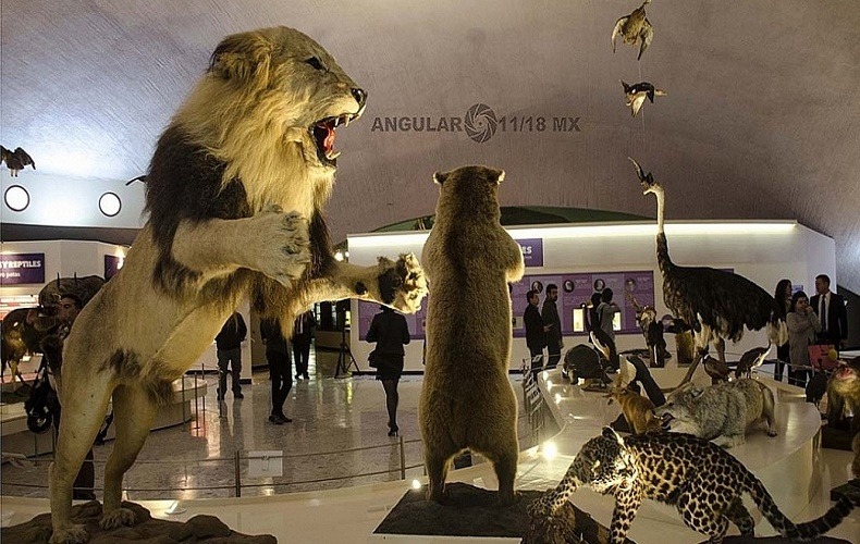 El Museo de Historia Natural y Cultura Ambiental: un epicentro de conocimiento en la Ciudad de México