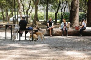 Cierran parque canino en Polanco: vecinos se quejaban de los ladridos