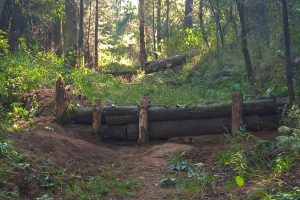 60eb15425ad4a065090466