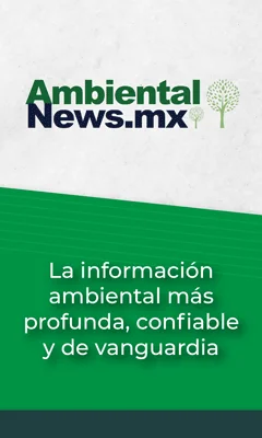 Ambiental-News-240-X-400-px.webp