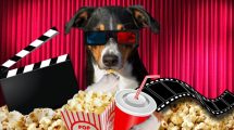 BOLETOS CINE 40 PESOS 1024x576 1