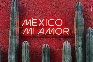 Buscan senadoras del verde que se conmemore el dia nacional de la mujer y la nina en la ciencia 4