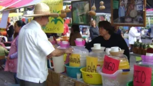 Feria del Pulque 2024: Un brindis por la tradición en la tabacalera