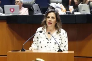 MODIFICACIÓN A LA LEY GENERAL DE PROTECCIÓN CIVIL PERMITIRÁ PARTICIPACIÓN DIRECTA DE VOLUNTARIOS EN EMERGENCIAS NACIONALES: CRUZ BLACKLEDGE