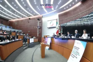 Promueven desde el Senado crear un sistema integral de cuidados