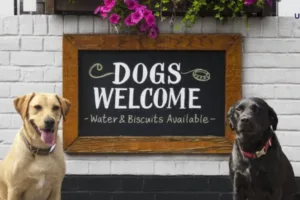 Propuesta para hacer 'pet-friendly' todos los establecimientos comerciales de la CDMX