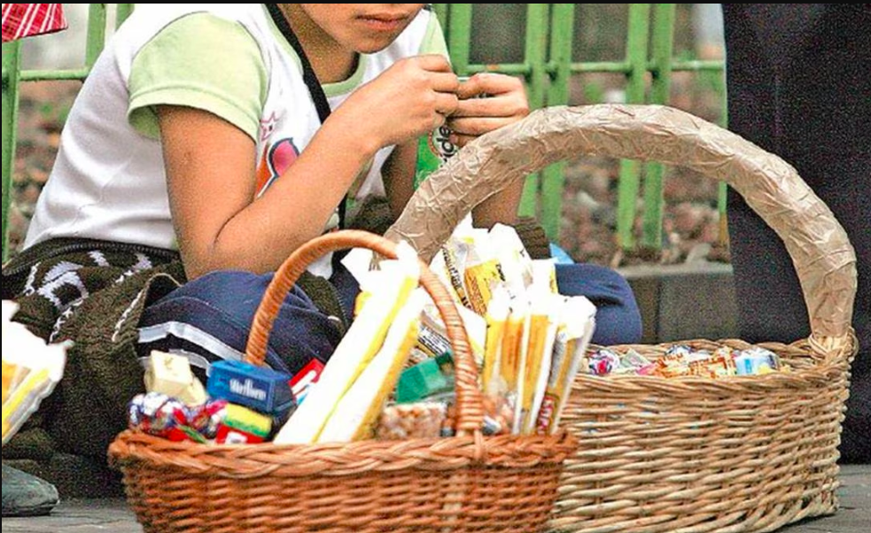 Autoridades de la Ciudad de México intensifican inspecciones para combatir el trabajo infantil 1 Captura de Pantalla 2024 01 15 a las 16.47.23