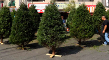 ¡Recicla tu árbol de Navidad en CDMX!