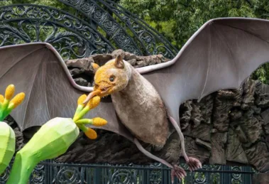 El Bosque de Chapultepec se prepara para celebrar a los murciélagos con el Festival "Quiróptera"