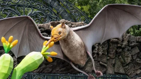 El Bosque de Chapultepec se prepara para celebrar a los murciélagos con el Festival "Quiróptera"