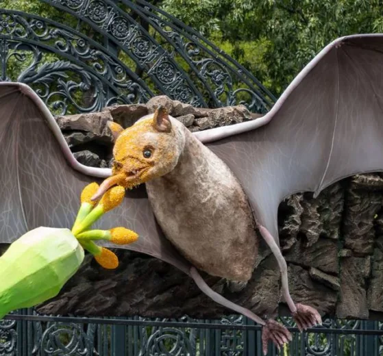 El Bosque de Chapultepec se prepara para celebrar a los murciélagos con el Festival "Quiróptera"