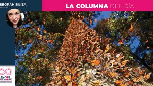 Columna Deborah Buiza 8
