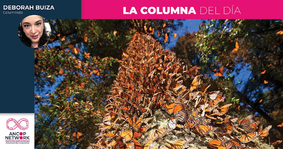 Columna Deborah Buiza 8