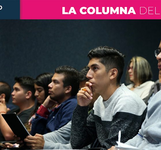 Columna Fernando Castro 5