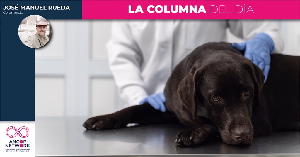Ahora hasta los animales se quedan sin medicinas 1 Columna José Manuel Rueda