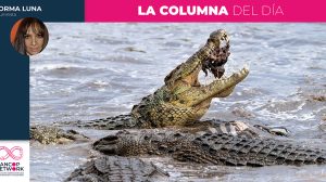 Columna Norma Luna 10