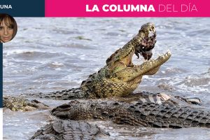 Columna Norma Luna 10