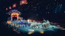 Como es la situacion actual de los circos con animales en Mexico