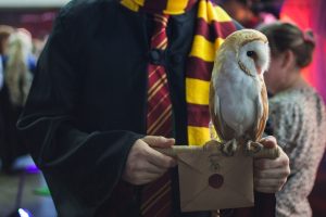Depositphotos Ya hay tienda oficial de Harry Potter en Mexico 1536x1025 1