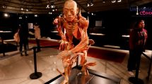 Our Body: Un viaje fascinante al interior del cuerpo humano