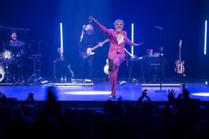 Elefantes baja Foto Daniel Perez 03