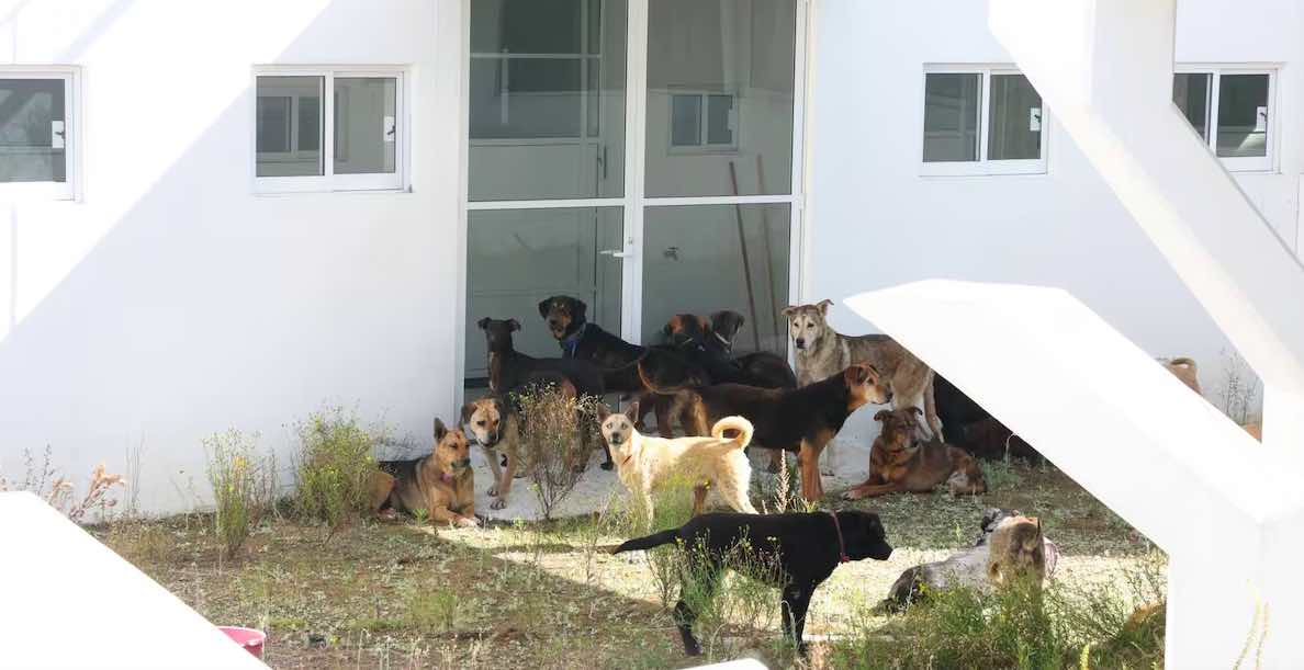 Escándalo en la Asistencia Privada