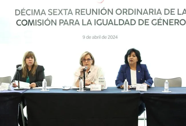 Avanza en Comisión proyecto para realizar homenaje a mujeres que impulsaron voto femenino 1 Avanza en Comisión proyecto para realizar homenaje a mujeres que impulsaron voto femenino
