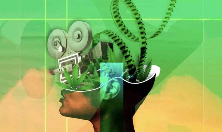 Todo listo para el Festival Internacional de Cine Cannabic en la CDMX 1 Imagen 3