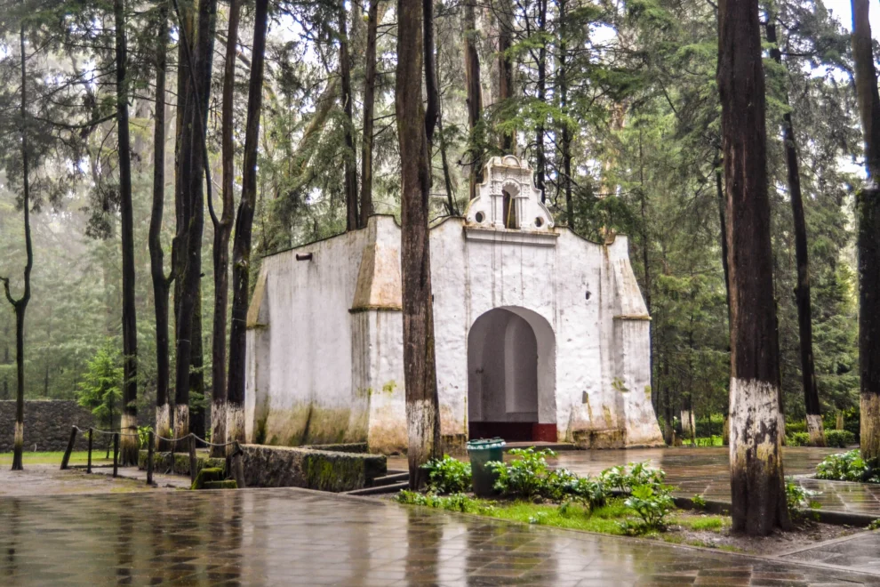 Descubre el encanto del Desierto de los Leones: naturaleza, historia y gastronomía en la Ciudad de México