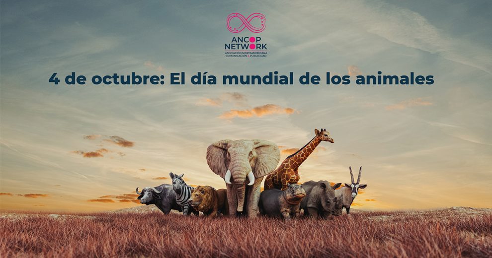4 de octubre: El día mundial de los animales 1 Nota Dia mundial de los animales
