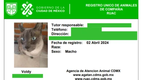 Mascotas en la CDMX: Obligatorio el registro único de animales de compañía