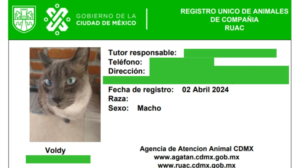 Mascotas en la CDMX: Obligatorio el registro único de animales de compañía 1 Mascotas en la CDMX: Obligatorio el registro único de animales de compañía
