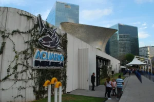 El Acuario Inbursa, un tesoro de la vida marina en América Latina