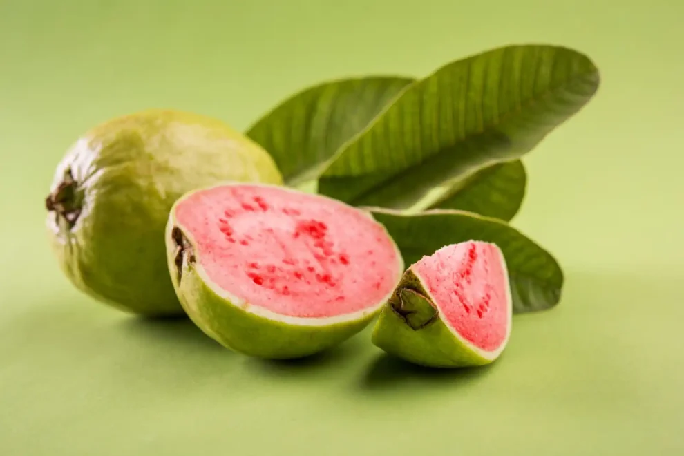 Beneficios ocultos de la guayaba